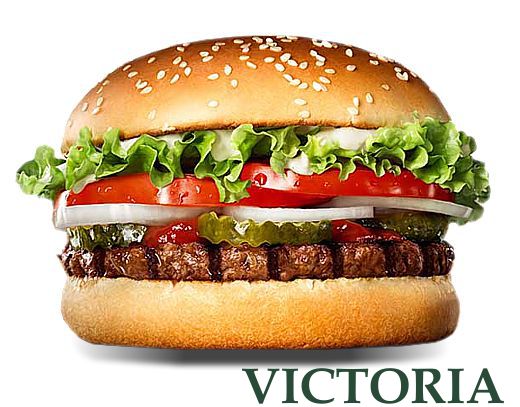 60 Hamburguesas VICTORIA s/pan